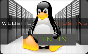 Linux Hosting Paketleri