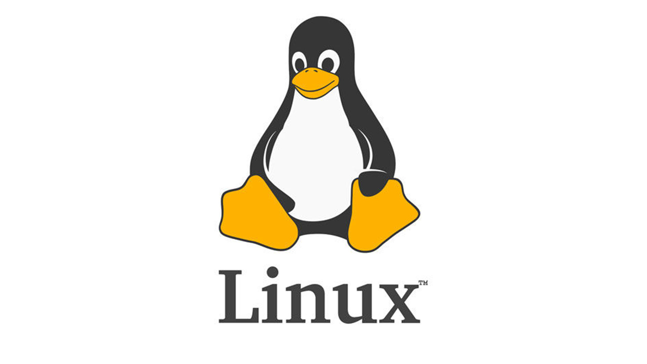 Linux İşletim Sistemi Yönetimi için IP Yönlendirme Yapılandırması