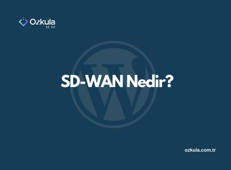 SD-WAN Nedir?